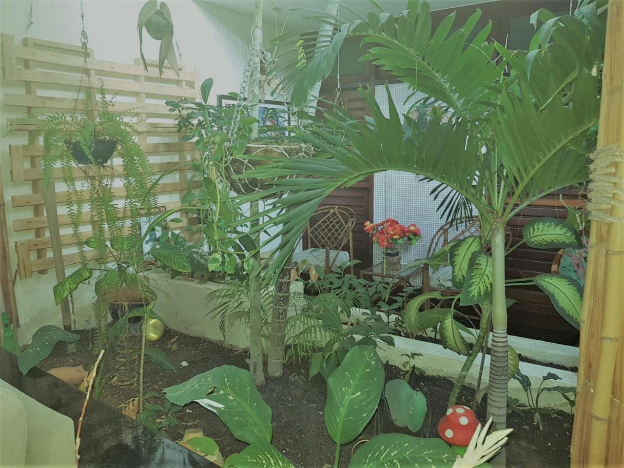 Pousada Terra Garrida Maceió المظهر الخارجي الصورة